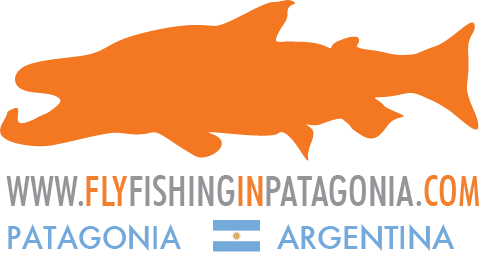 flyfishinginpatagonia.com logo