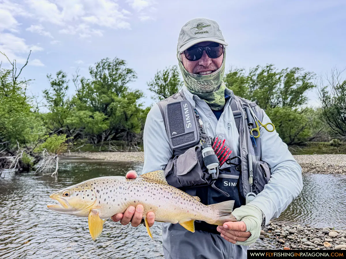Angler holding a brown trout beside a willow-lined Collon Cura River channel