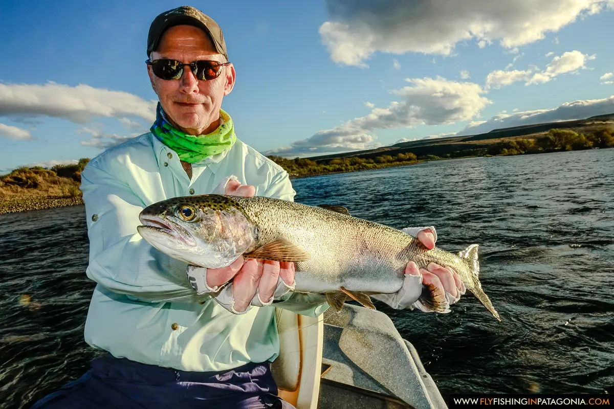 Angler holding a large rainbow trout in evening light on the Collon Cura River