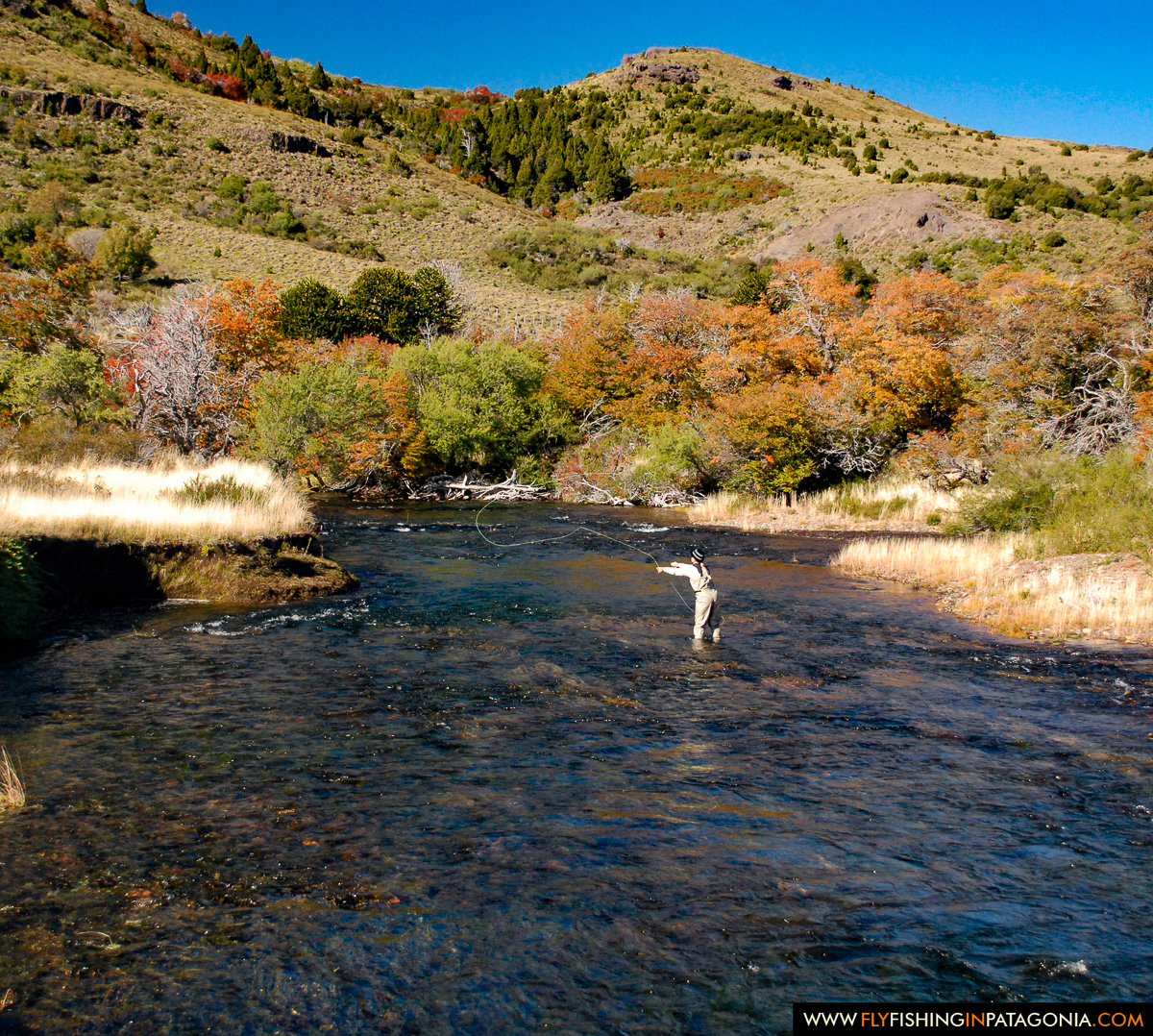 Fly angler casting on the Huaca Mamuil River in autumn colors