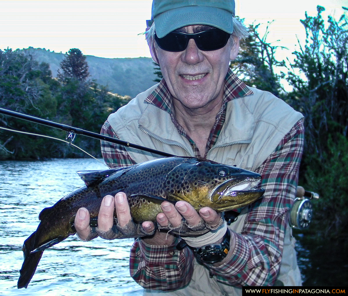 Angler holding a dark wild brown trout from the Huaca Mamuil River