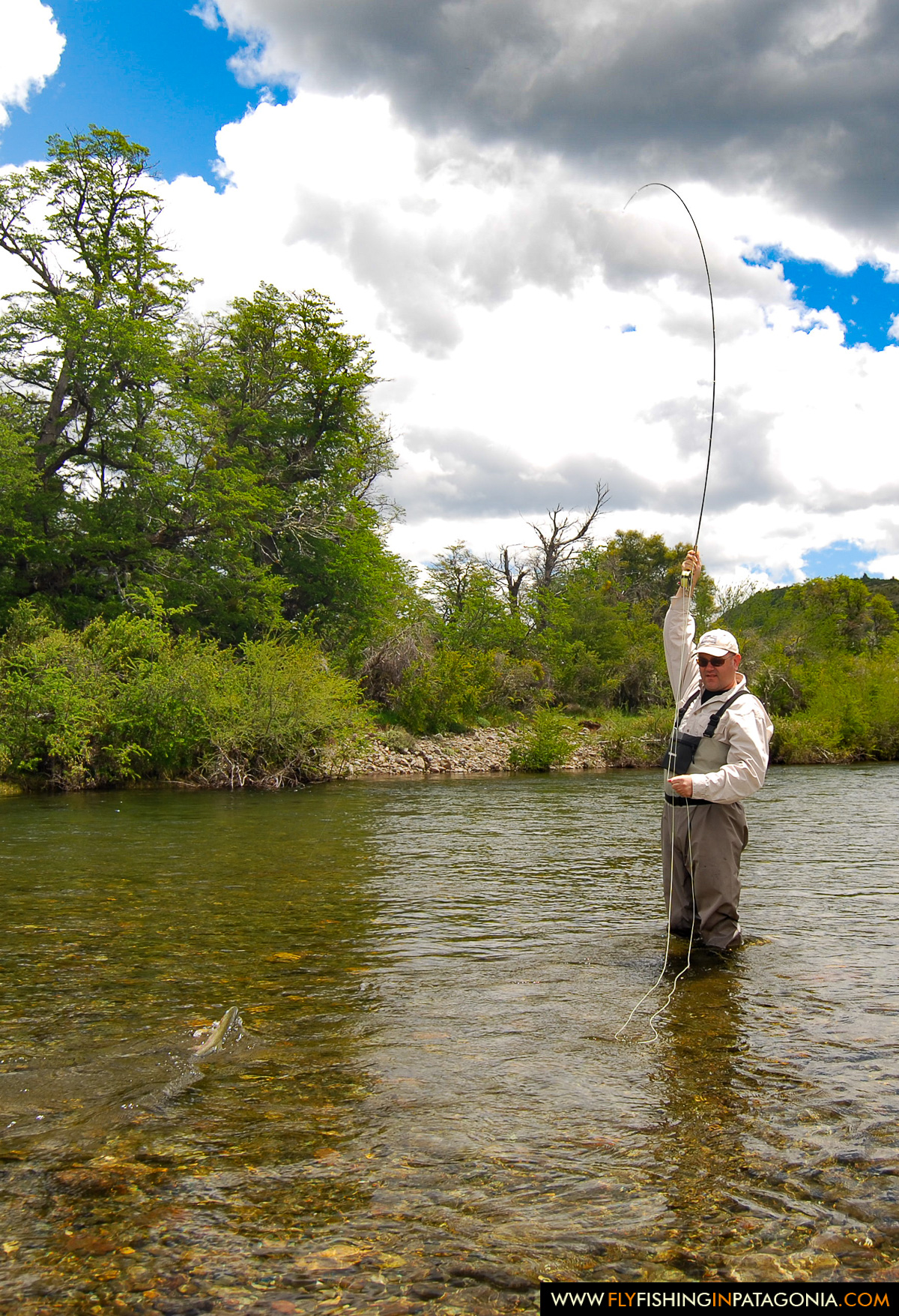 Fly angler playing a trout on a light rod in the Huaca Mamuil River