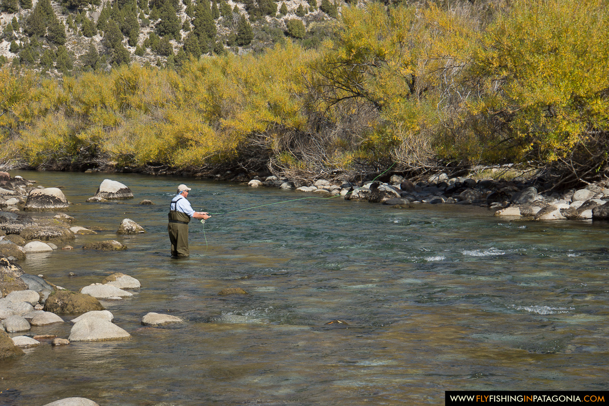 Angler wading a clear riffle on the Traful River