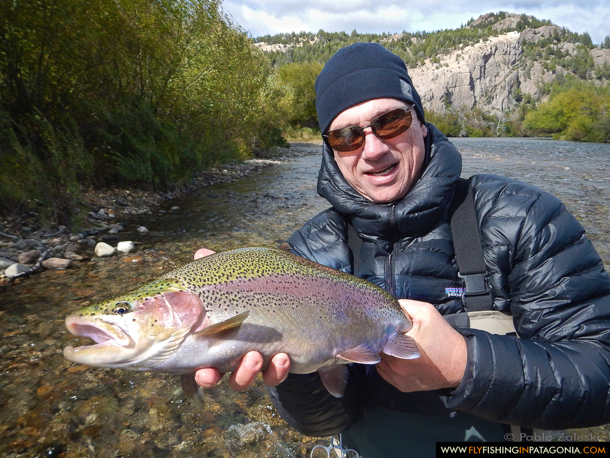 Angler holding a rainbow trout from the Traful River