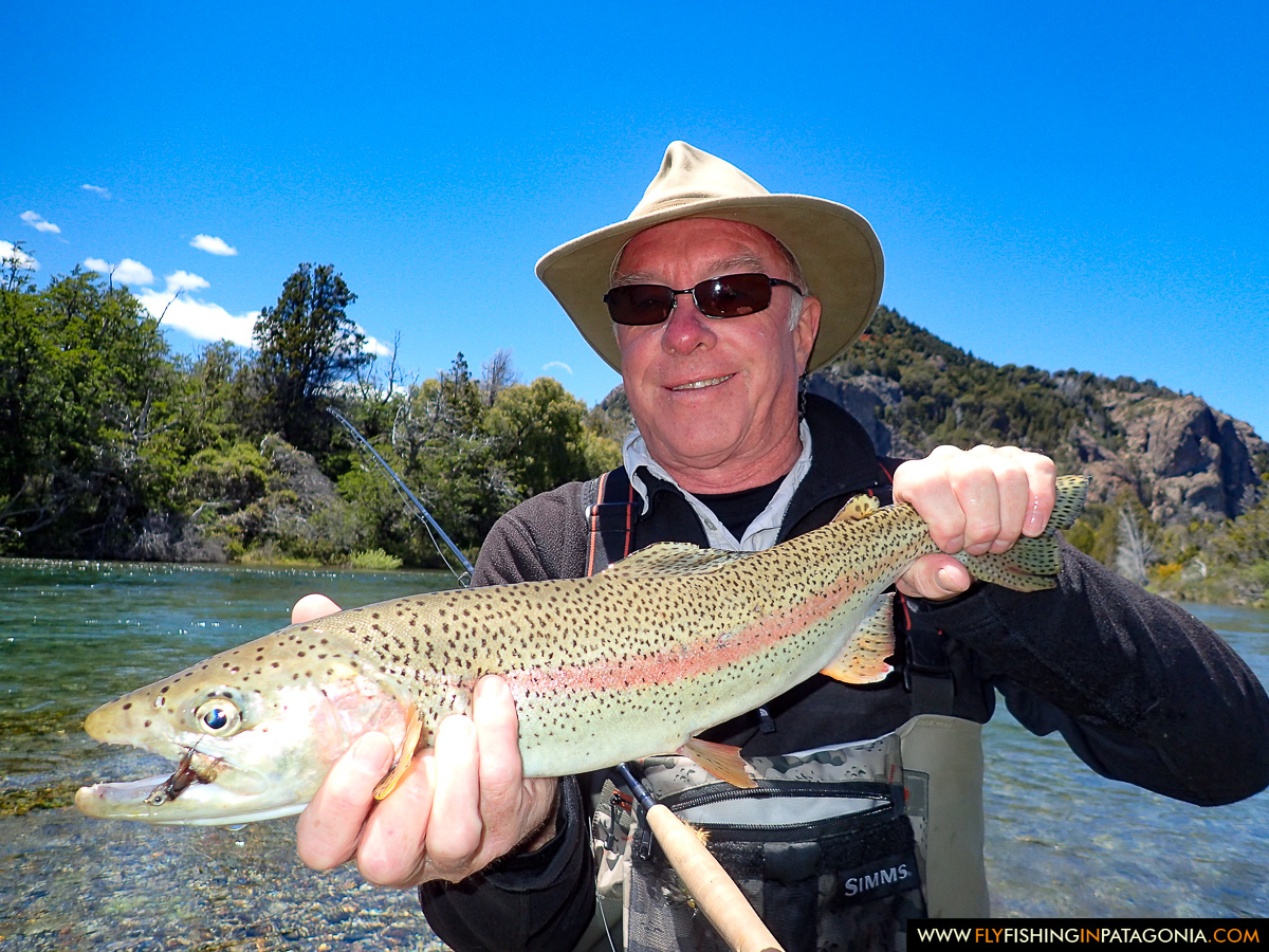 Angler presenting a wild Traful rainbow trout
