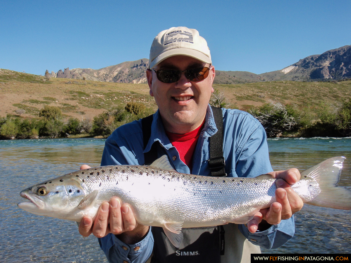 Angler holding a wild brown trout from the Traful River