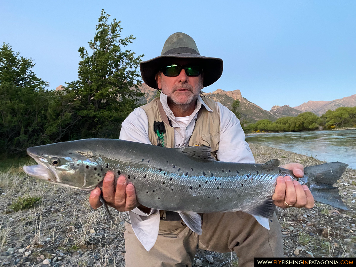 Angler holding a large wild trout from the Traful River