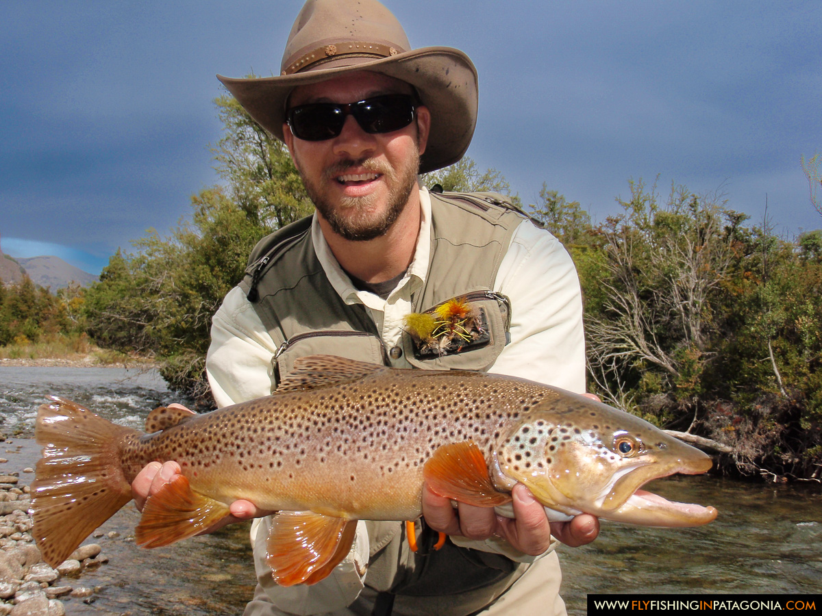 Angler holding a richly colored brown trout from the Traful