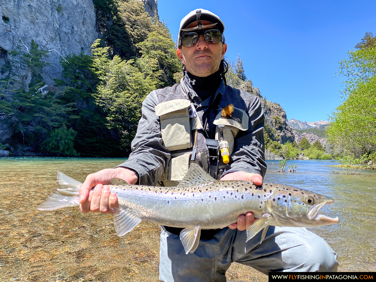Angler holding a wild rainbow trout from the Traful