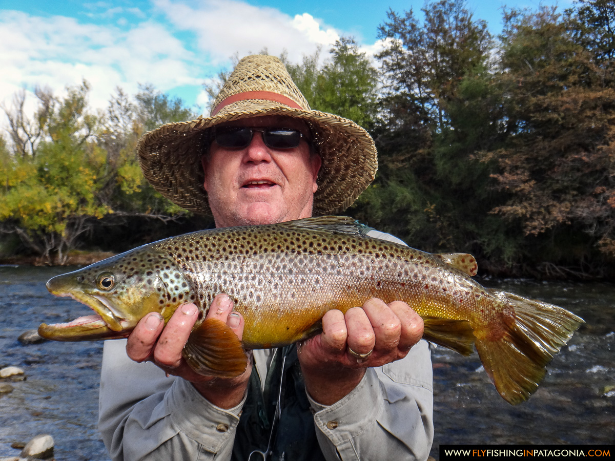 Woman holding a brown trout beside the Traful River