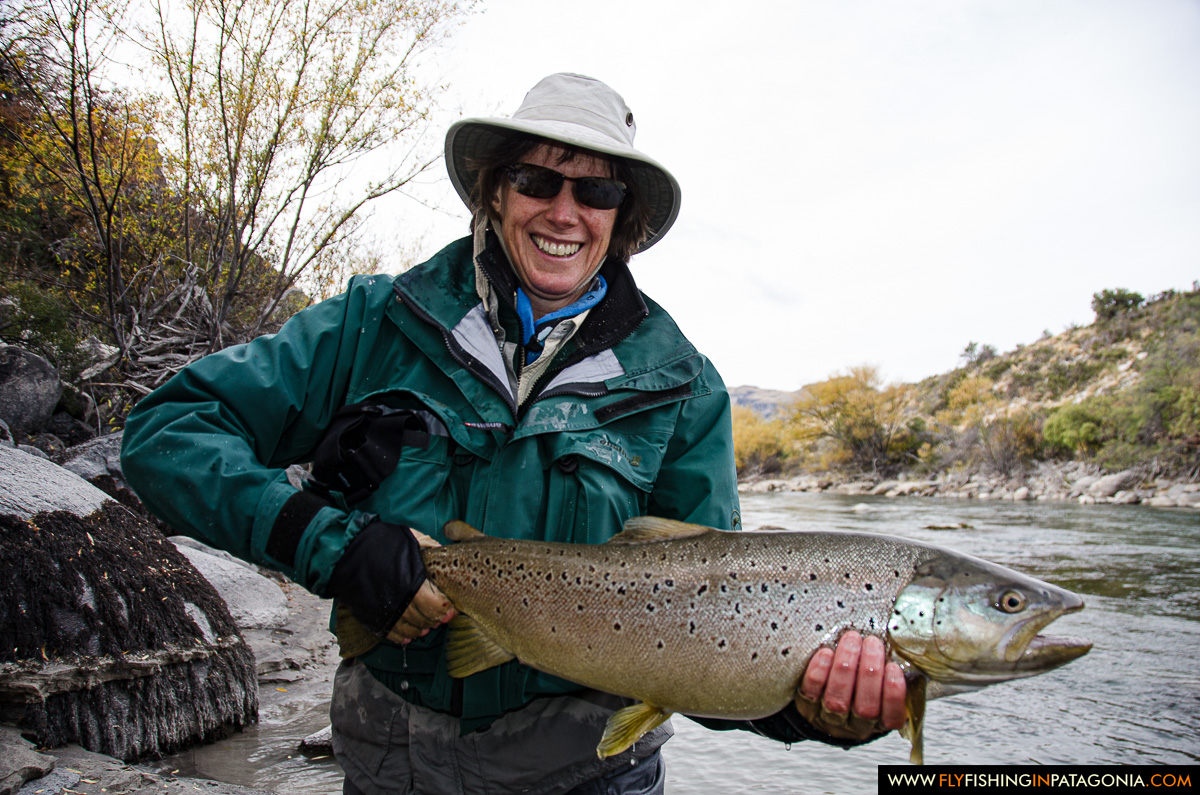 Woman holding a large wild brown trout from the Traful River