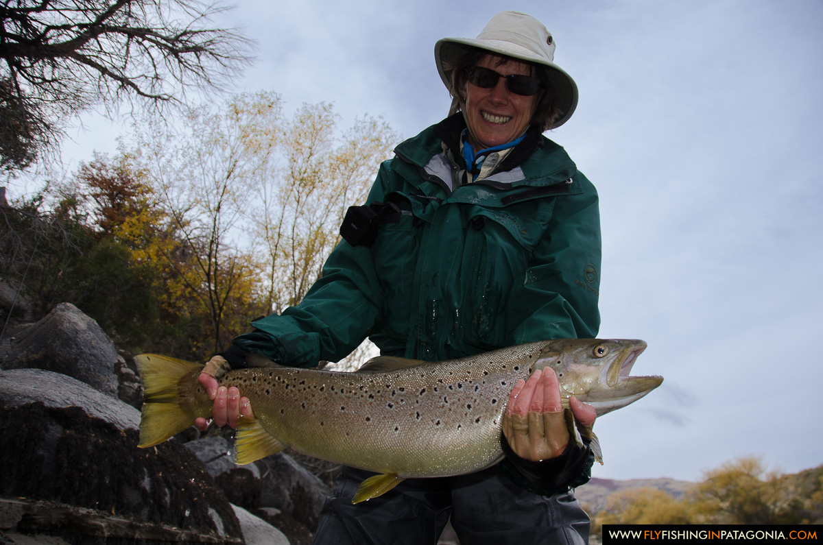 Woman holding a trophy Traful River brown trout